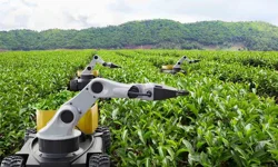 Kamu Teknoloji Platformu 2026'yı 'Kamusal Zekâ Yılı' ilan etti... Kamuda 'metal yaka' dönemi başlıyor