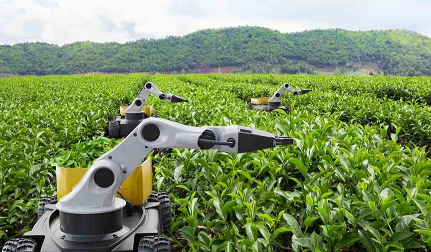 Kamu Teknoloji Platformu 2026'yı 'Kamusal Zekâ Yılı' ilan etti... Kamuda 'metal yaka' dönemi başlıyor